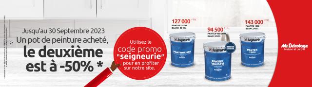 Bannière Offre Peinture