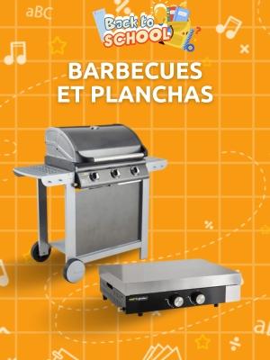 produits pour barbecue et planchas chez Mr Bricolage