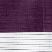 Alt_21