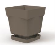 Alt_21