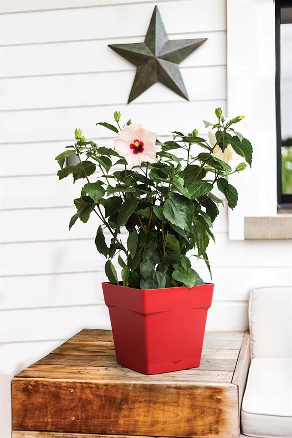 Pot carré TOSCANE 10.2L EDA Rouge Rubis