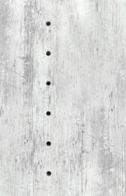 Alt_24