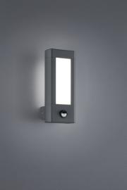 Alt_21