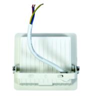 Alt_24