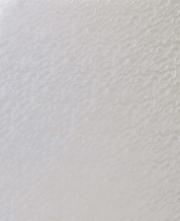Alt_21