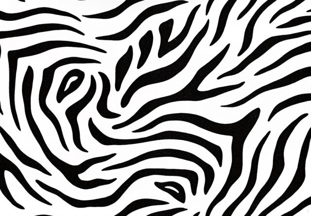 Adhésif décoratif déco Zebra 2mX0.45m