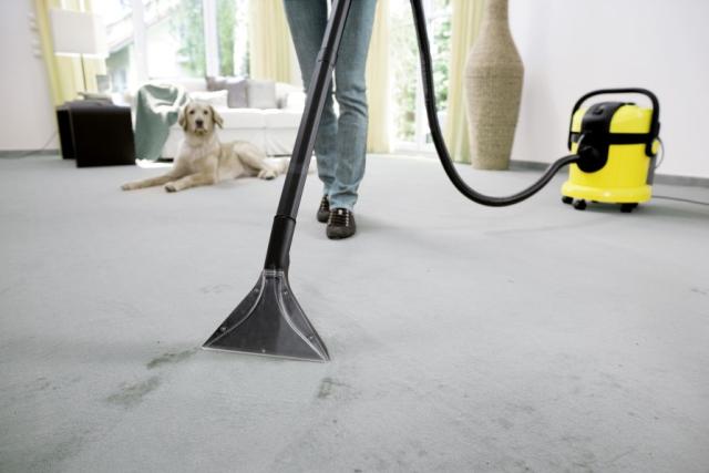 Injecteur Extracteur SE4001 - Karcher
