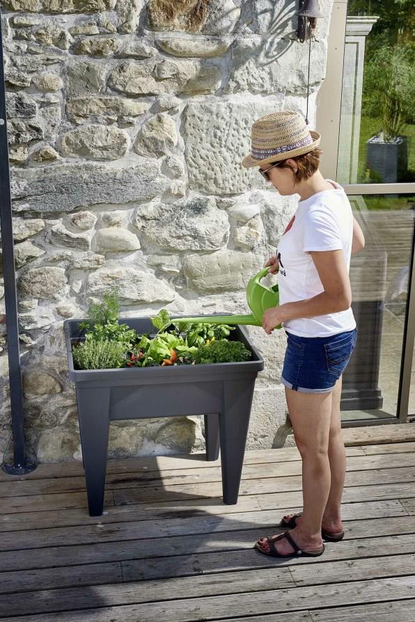 ESPACE POTAGER +SERRE VEGETABLE ANTHRACITE