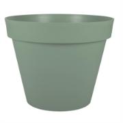 Alt_21