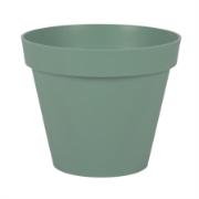 Alt_21
