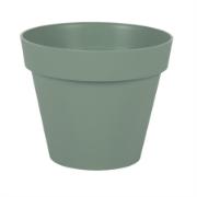 Alt_21