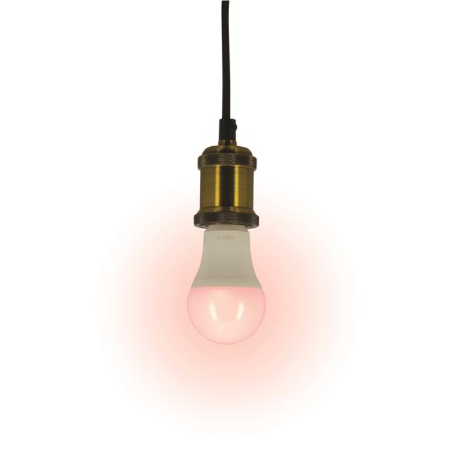 Ampoule LED connectée A60 E27 9W Variable CCT 2700-6500K - KOZII