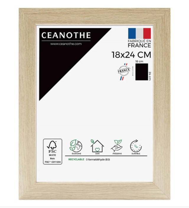 Cadre 18x24 boreale