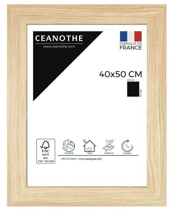 Cadre 40x50 boreale