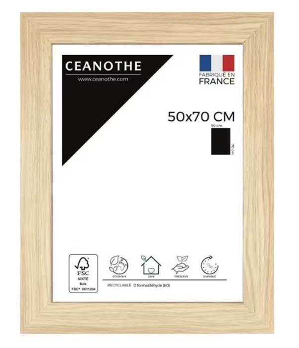 Cadre 50x70 boreale