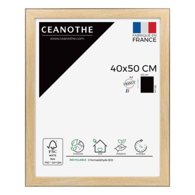 Cadre 40x50 newton bois noir