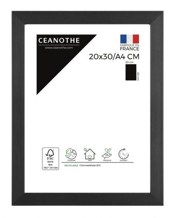 Cadre 20x30/a4 precious carbone