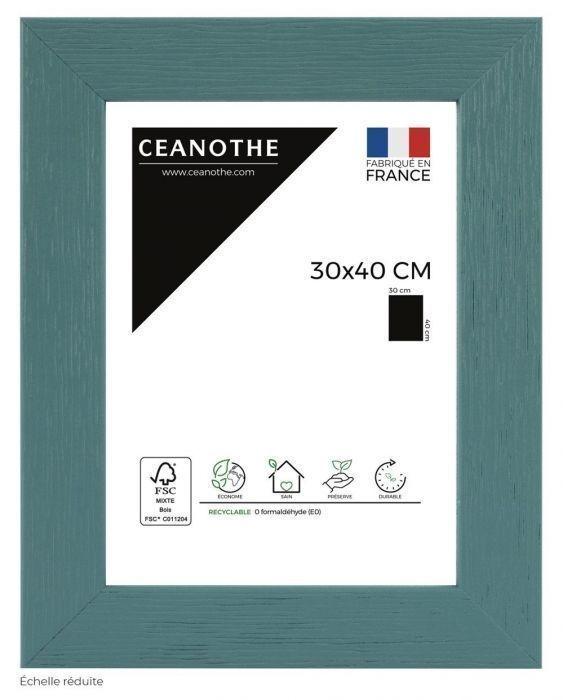 Cadre 30x40 tutti frutti menthol