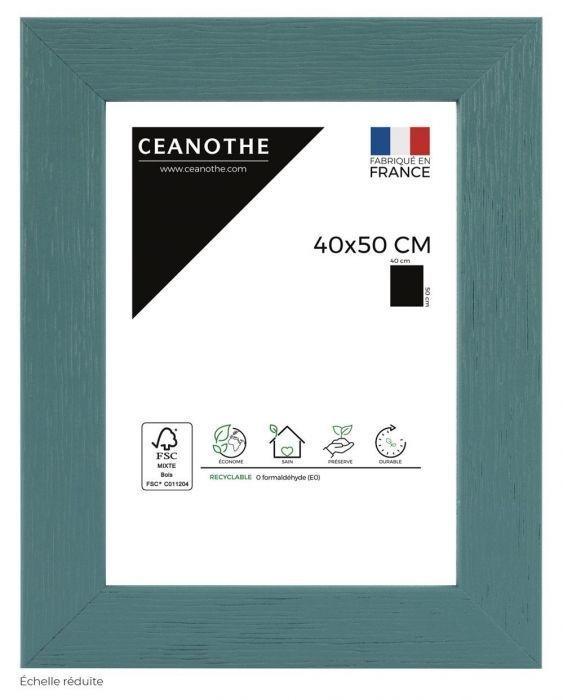 Cadre 40x50 tutti frutti menthol