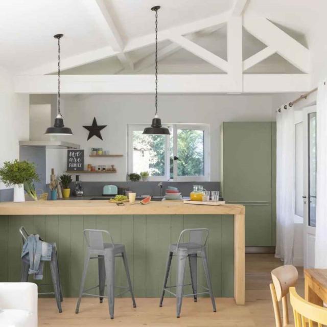 Peinture Rénovation Multi-supports Intérieur - Vert kaki