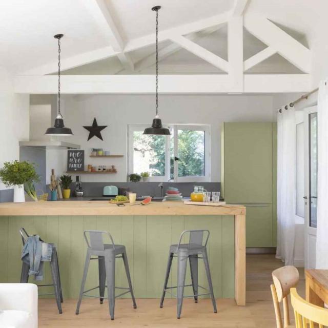 Peinture Rénovation Multi-supports Intérieur - Vert mousse