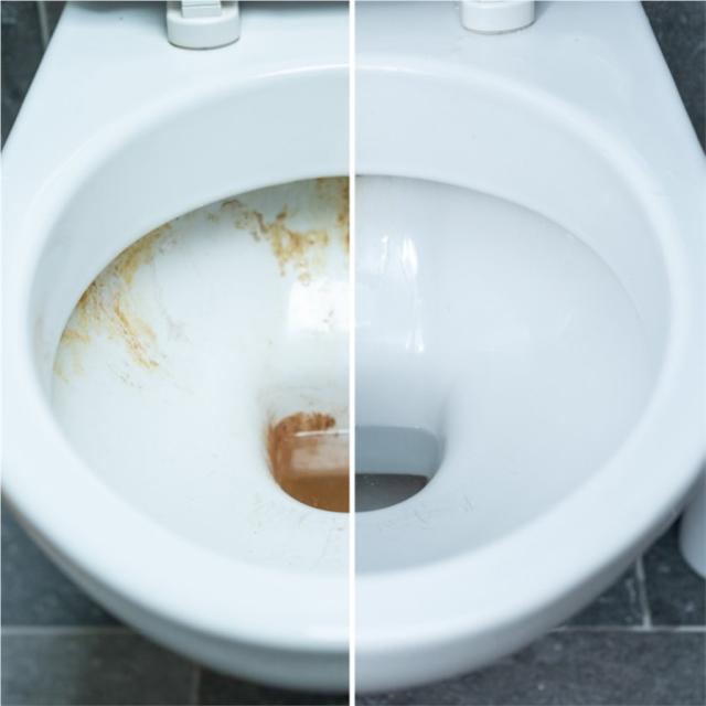 Détartrant Surpuissant Poudre pour WC 1kg - STARWAX