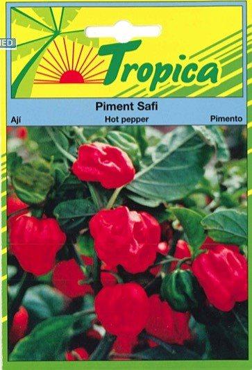 Piment Safi  - TROPICA
