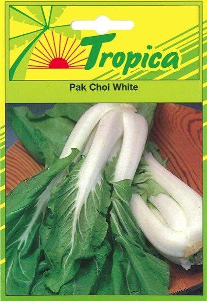 Pak Choi White  - TROPICA