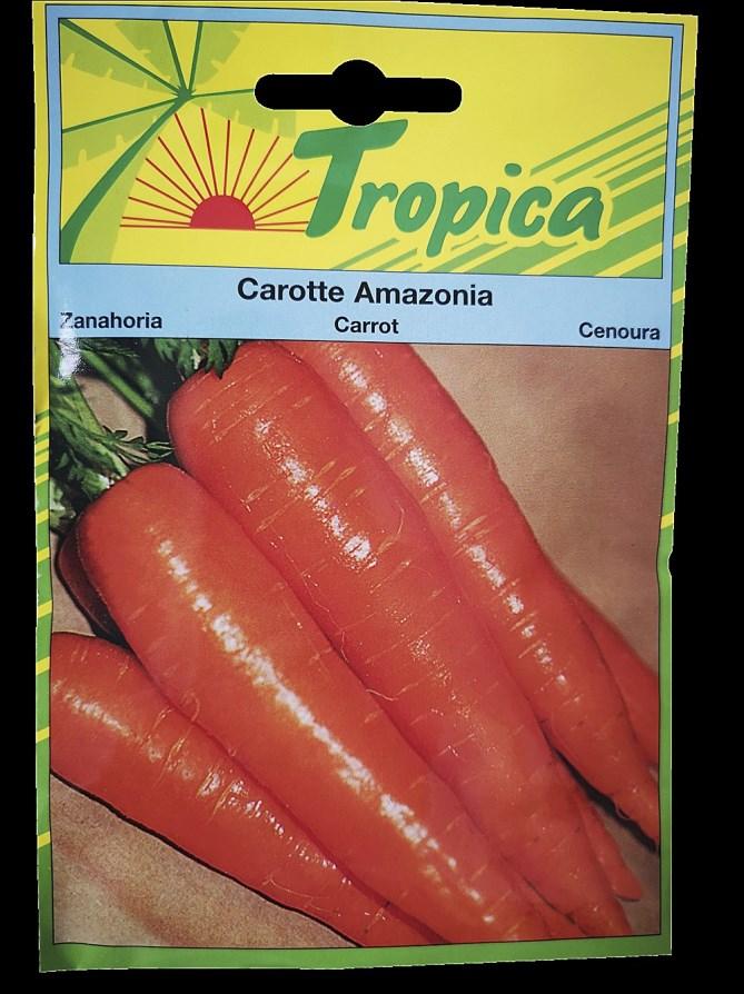 Carotte Amazonia - 6Gr