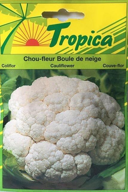 Chou fleur boule de neige 1g