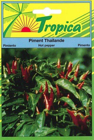 Piment Thailande - TROPICA