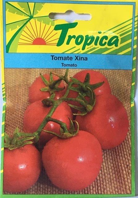 Tomate xina trop. 2 g.