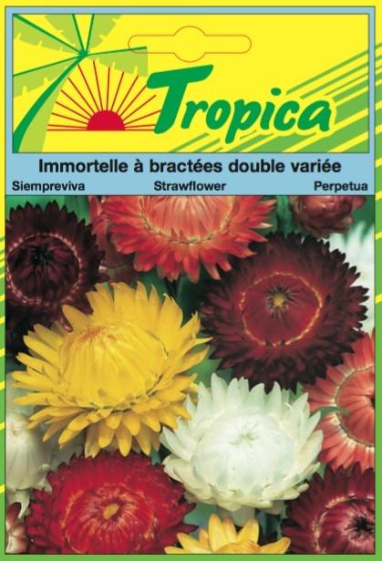 Immortelle a bactees 1 000grs