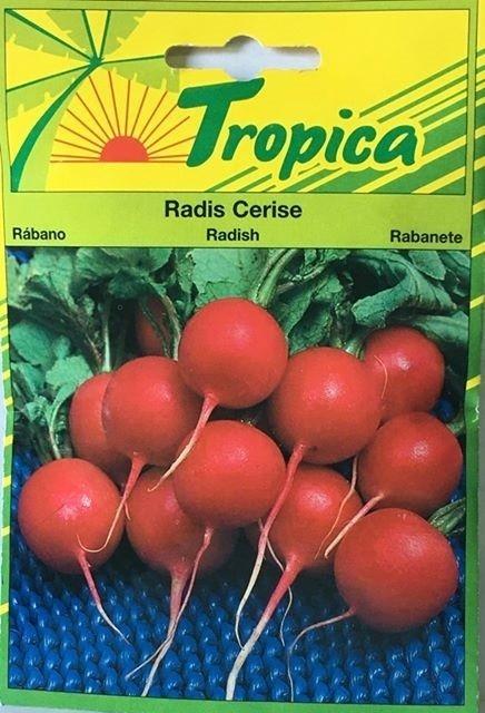 Radis cerise - TROPICA