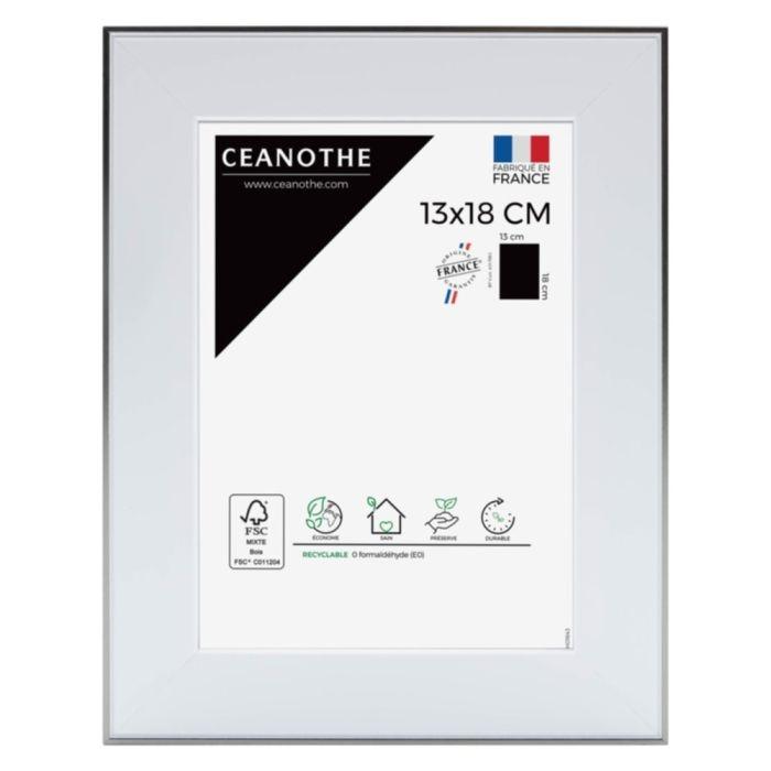 Cadre 13x18 newton acier