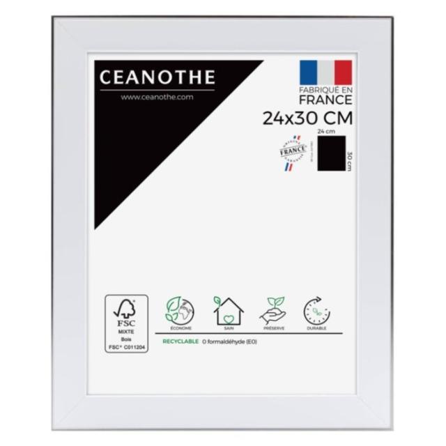 Cadre 24x30 newton acier