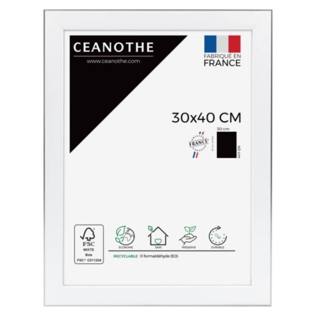 Cadre 30x40 newton acier