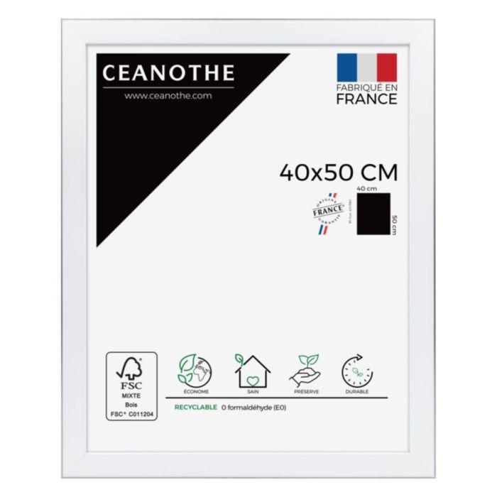 Cadre 40x50 newton acier