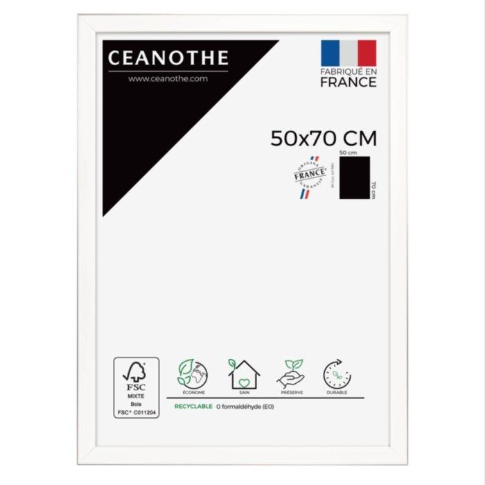 Cadre 50x70 newton acier