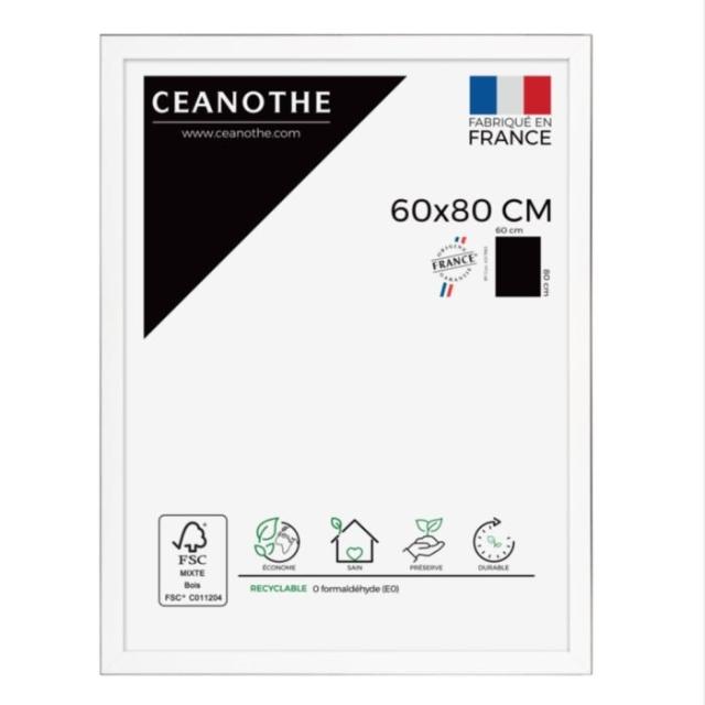 Cadre 60x80 vs newton acier