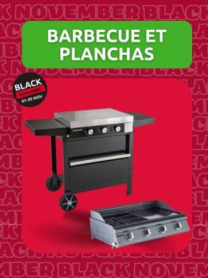 produits pour barbecue et planchas chez Mr Bricolage