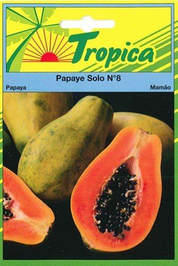 Papaye solo n°8 - TROPICA