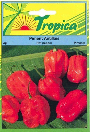 Piment Antillais - TROPICA