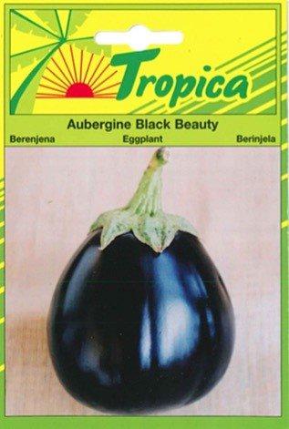 Aubergine Black Beauty - TROPICA