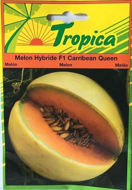Melon f1 carribean queen